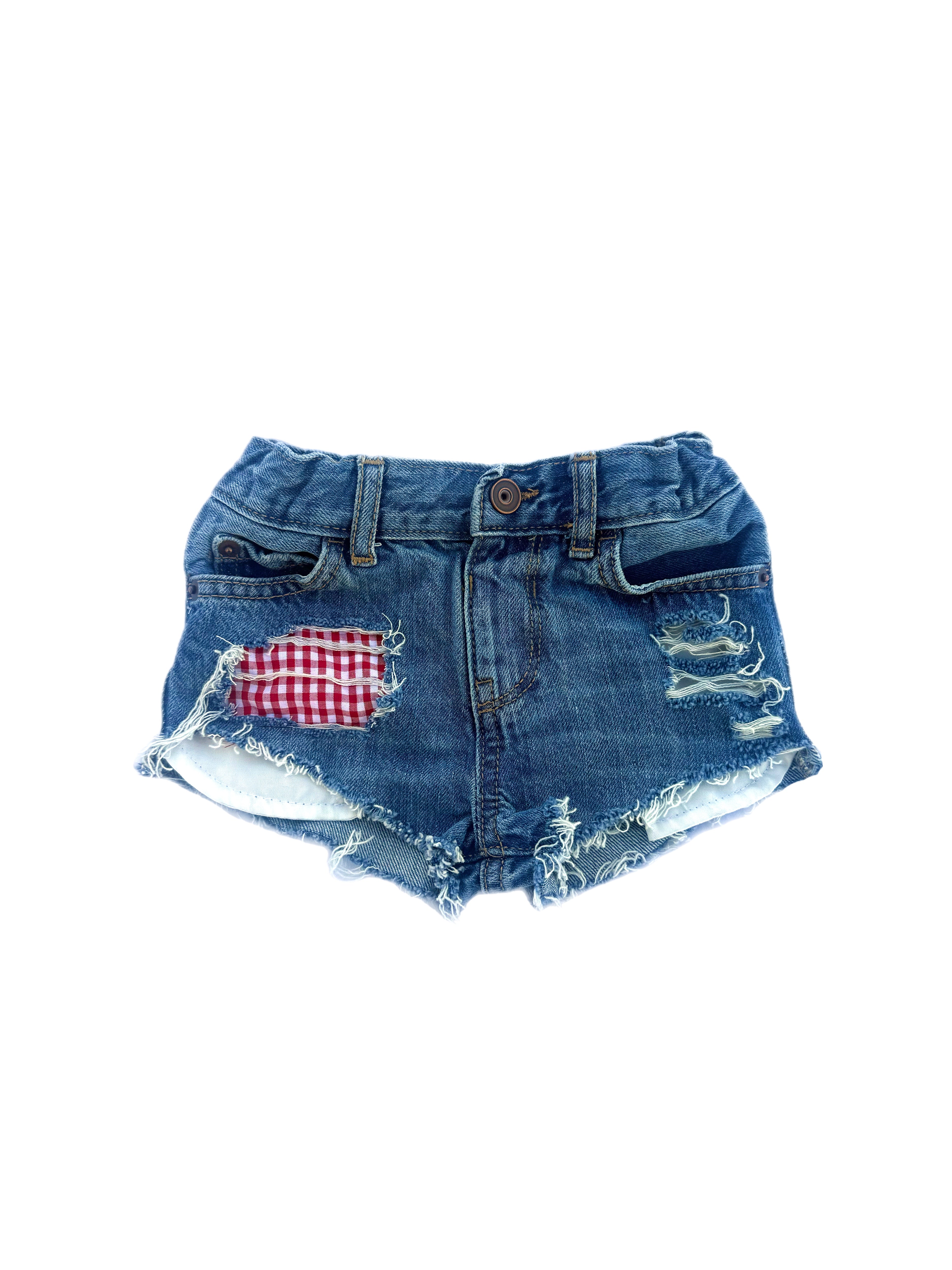 2T Summertime picnic shorties
